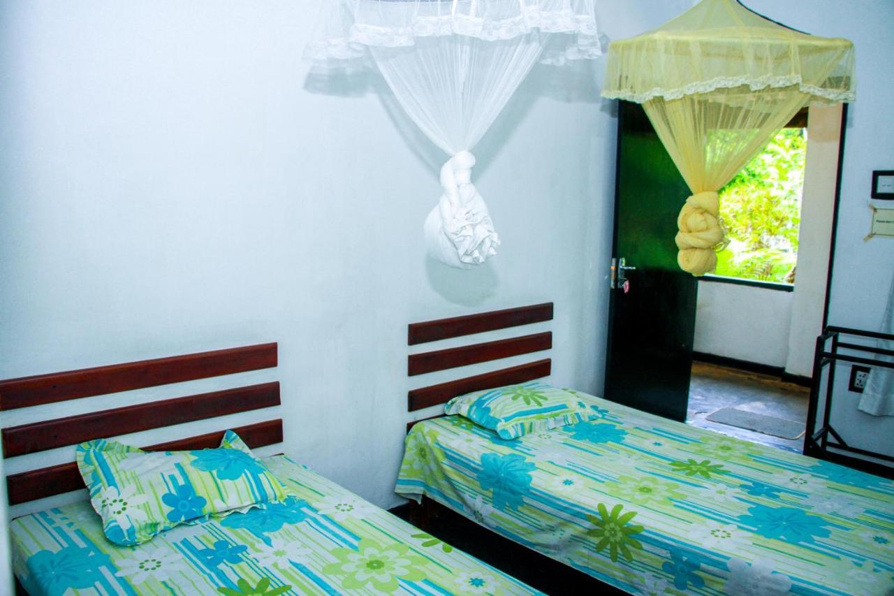 Bed and Breakfast Banana Rest Сігірія Екстер'єр фото