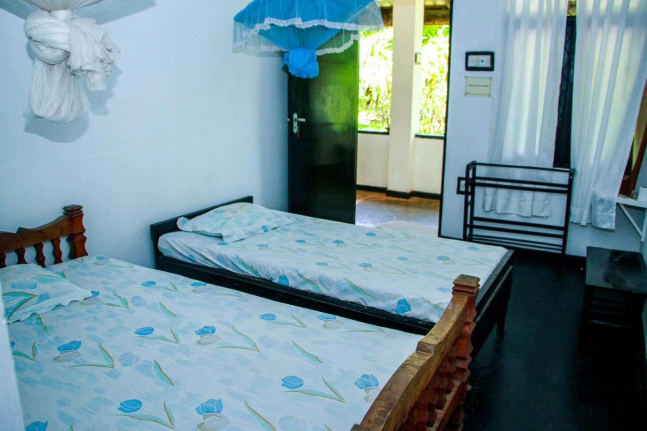 Bed and Breakfast Banana Rest Сігірія Екстер'єр фото