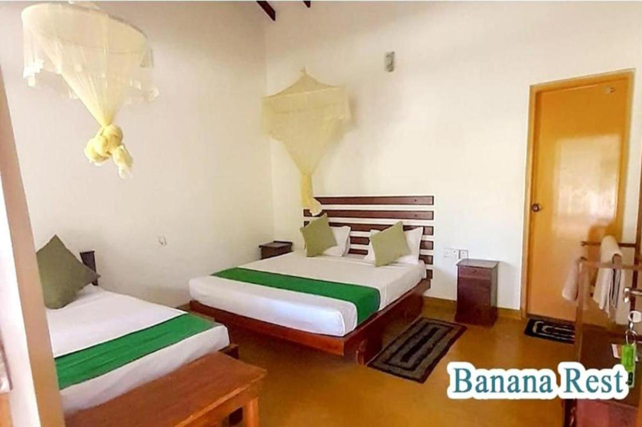 Bed and Breakfast Banana Rest Сігірія Екстер'єр фото