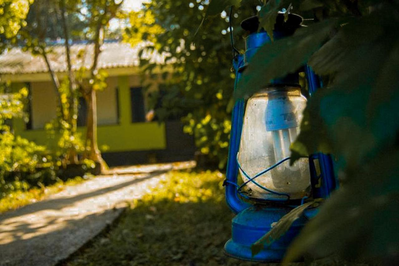 Bed and Breakfast Banana Rest Сігірія Екстер'єр фото