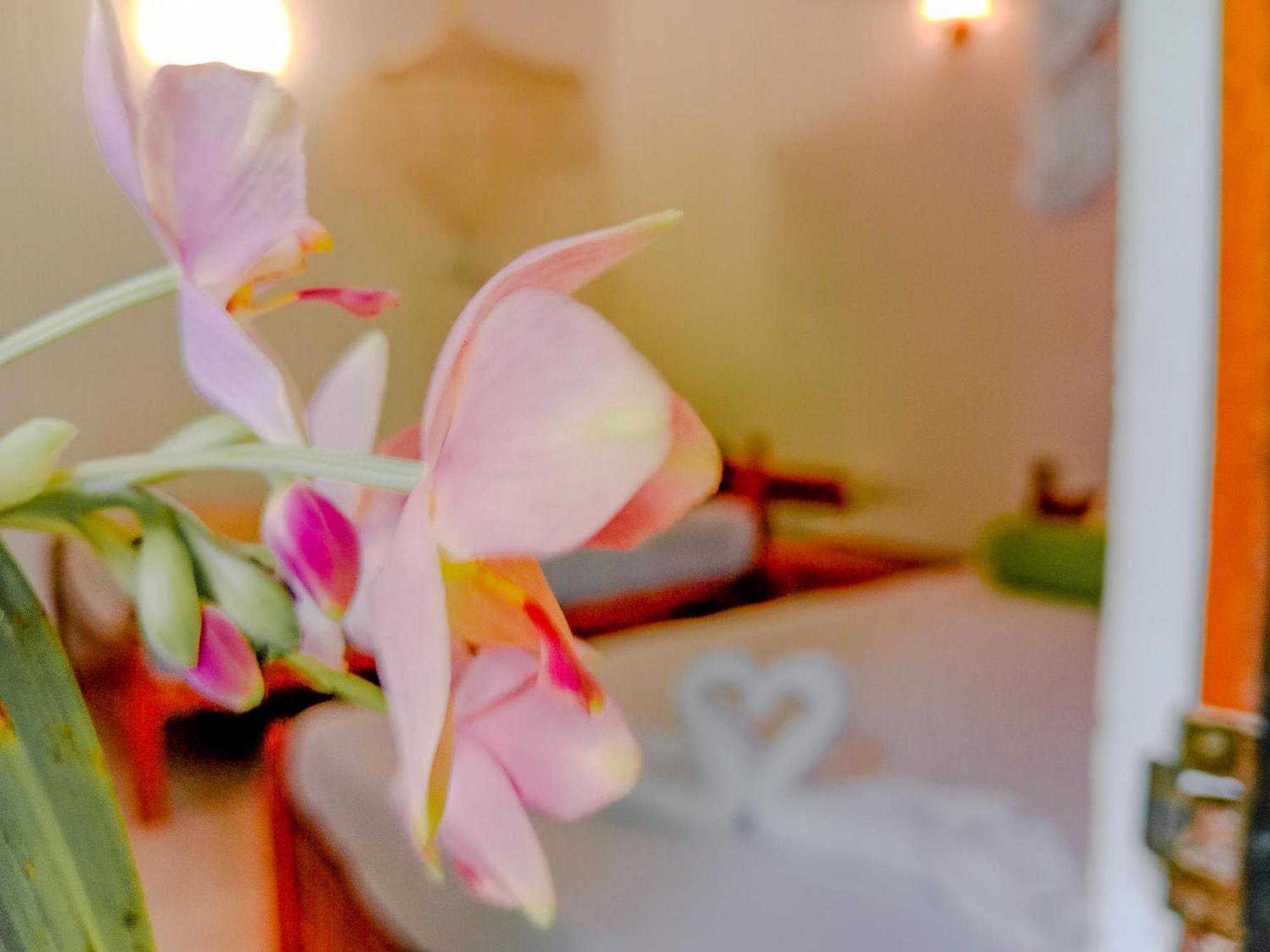 Bed and Breakfast Banana Rest Сігірія Екстер'єр фото