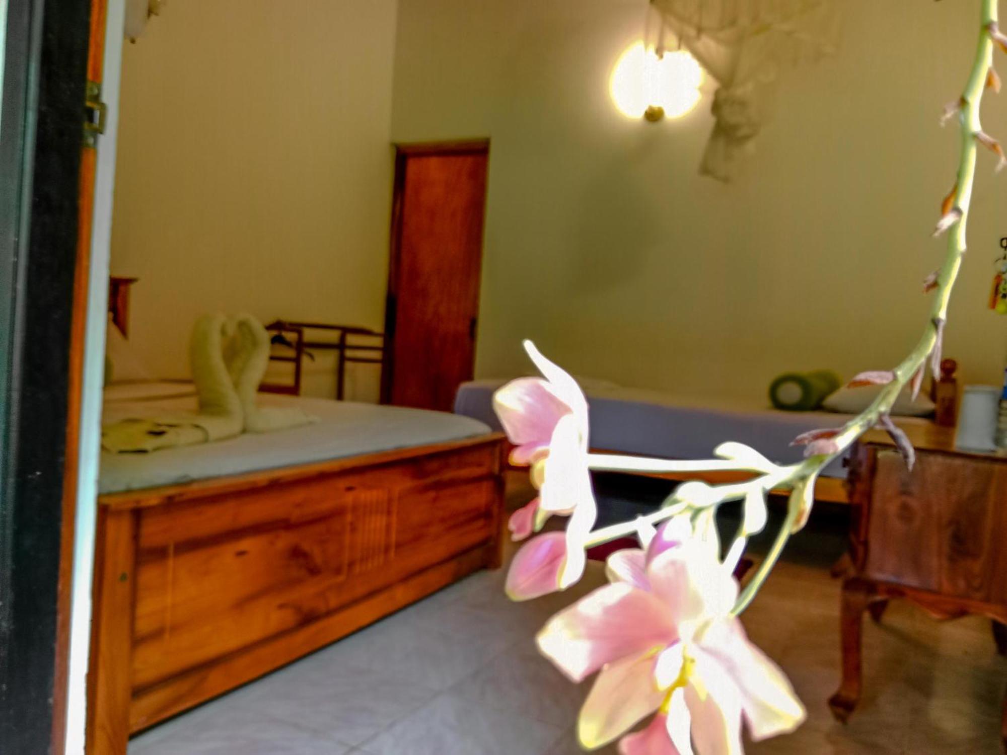 Bed and Breakfast Banana Rest Сігірія Екстер'єр фото