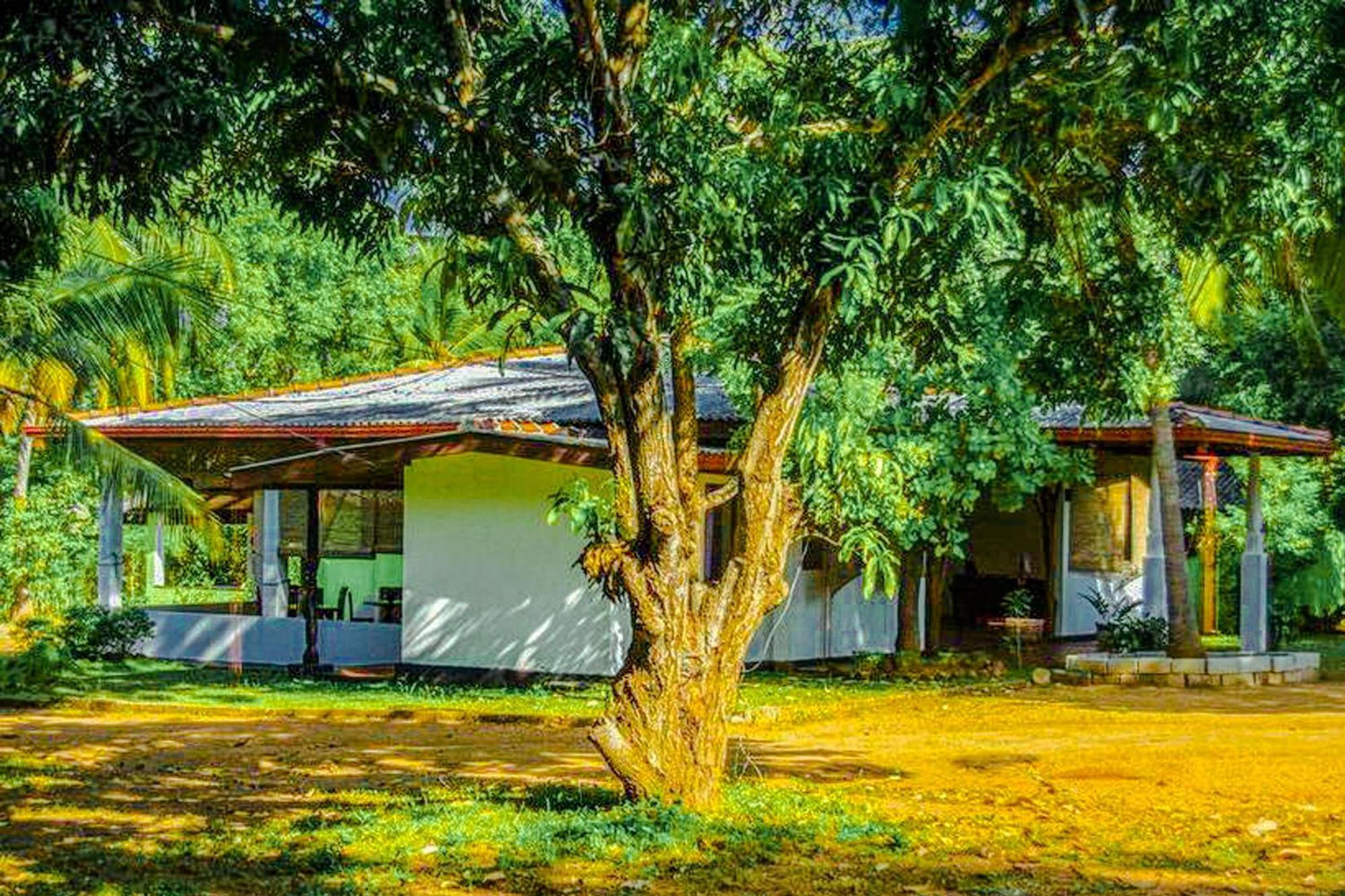 Bed and Breakfast Banana Rest Сігірія Екстер'єр фото