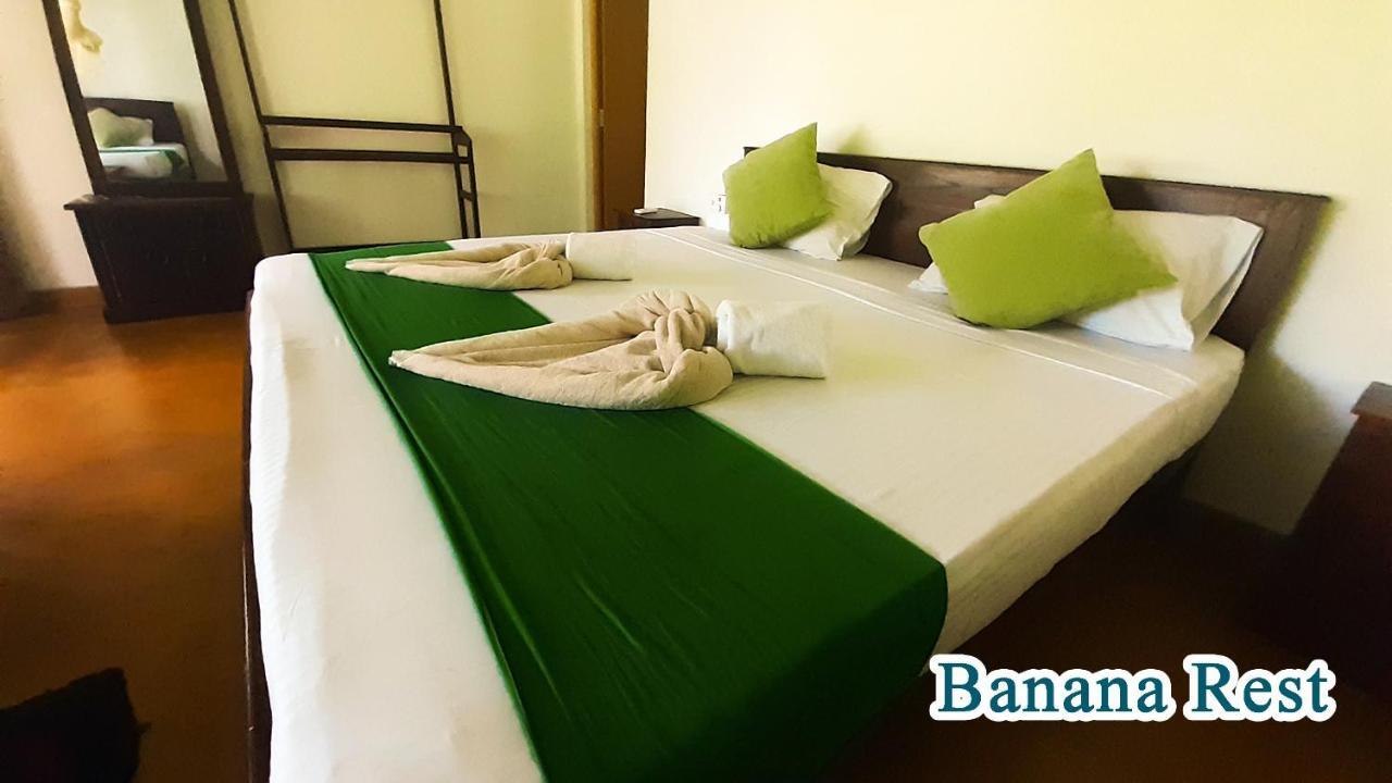 Bed and Breakfast Banana Rest Сігірія Екстер'єр фото