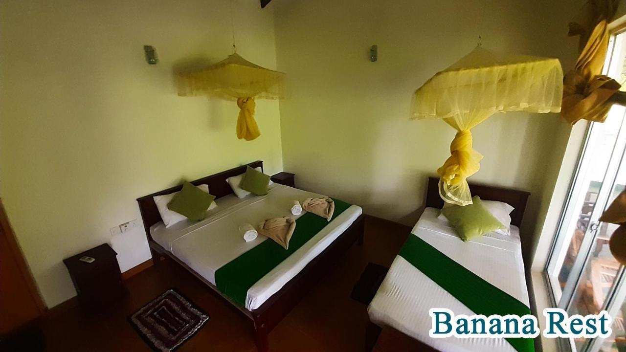 Bed and Breakfast Banana Rest Сігірія Екстер'єр фото