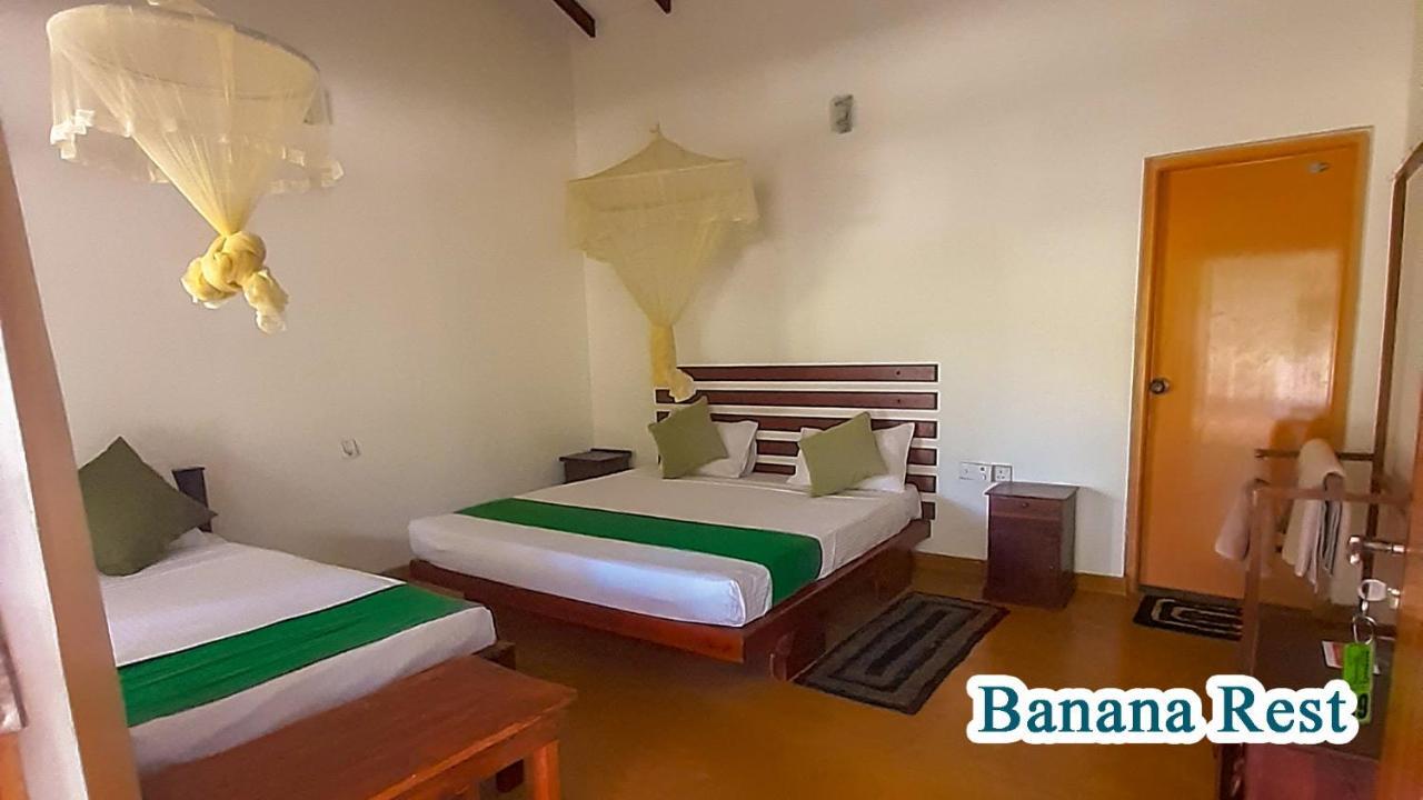 Bed and Breakfast Banana Rest Сігірія Екстер'єр фото
